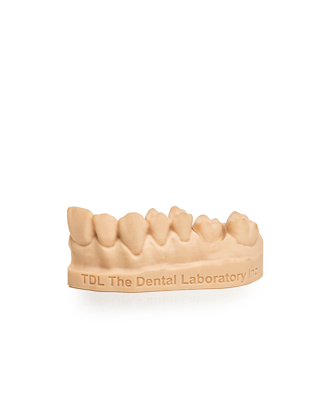Digital Printed Models – Lightning Dental Lab